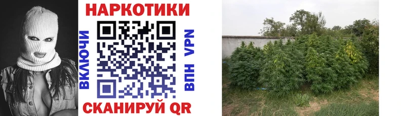 Где купить наркоту Лениногорск Гашиш  Каннабис  Кокаин  мега зеркало  Мефедрон  APVP 