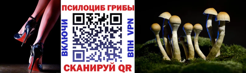 Псилоцибиновые грибы ЛСД  Лениногорск 